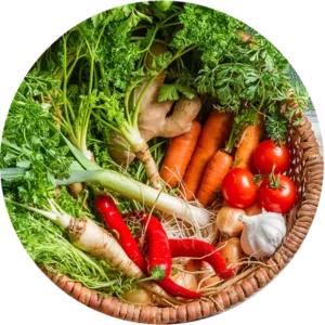 Konsultacje Indywidualne Manufaktura Dobrodziejstw 