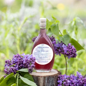 Ocet jabłkowo-borówkowy 200 ml Manufaktura Dobrodziejstw